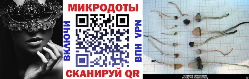 как найти закладки  Соль-Илецк  Псилоцибиновые грибы ЛСД 