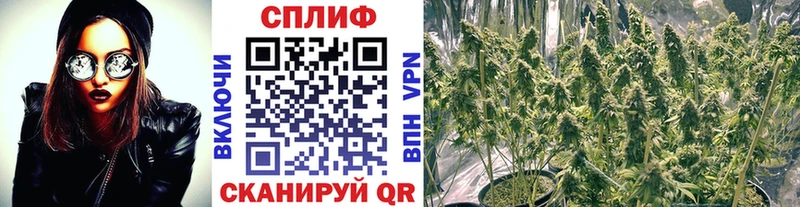 купить Соль-Илецк Канабис индика